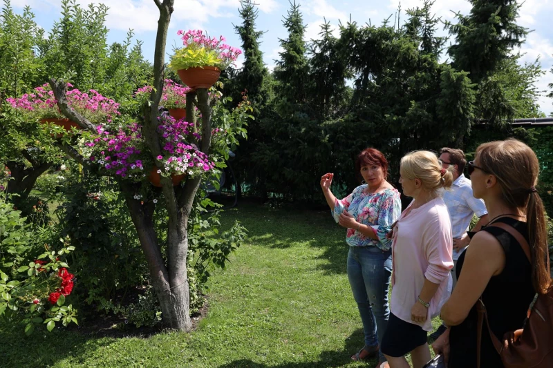 Raciborzanie chwalą się swoimi ogrodami